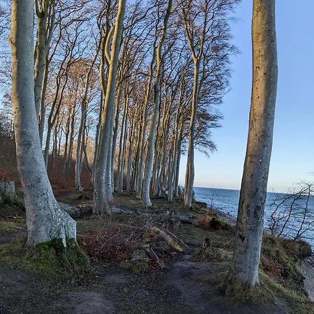 Appartement Aktivhof 